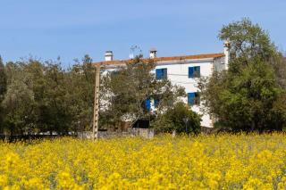 Mas Tinus - Laurel - Santa Cristina d'Aro - 9
