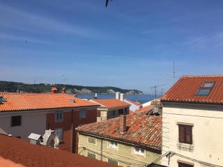 Apartmaji Sara, Izola - Isola - Izola - 9