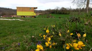 Véritable roulotte à la campagne - 4