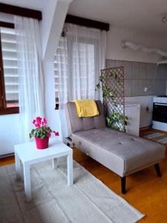 Casa Bonita Saliste - Sălişte - 6