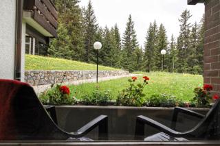 Rehwiesa - Arosa - 2