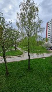 Jaukūs namai-Home Sweet Home - 6