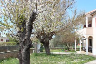 Villa Blue - Zaton - 8