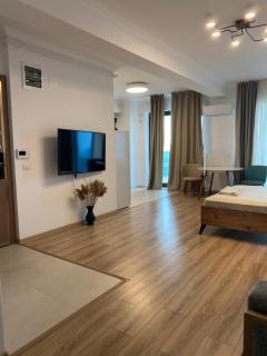 Nuba Luxury Front Sea View - Mamaia - 7