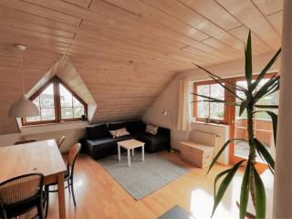 Ferienwohnung mit Dachterrasse - Achberg - 8