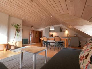 Ferienwohnung mit Dachterrasse - Achberg - 9