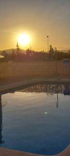 AmaNacer Oliva - Oliva - 9