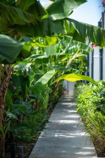 Villa Remeitch By Abaneo, Saint-François - 4