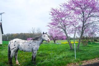 Deck and Pastoral Views! Bealeton Farmhouse Escape - Remington - 7