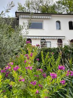The Lake House - Torri del Benaco - 9
