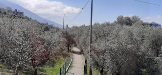 APPARTAMENTO LECCINO - Malcesine - 3
