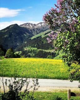Schrolln Appartements - Kirchberg in Tirol - 4