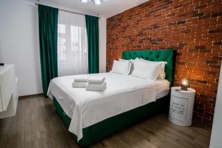 ApartBnb Green Vibe 32 - Braşov - 9