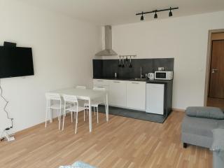Brand new studio apartment #51 with free secure parking in the center - Prague - 0