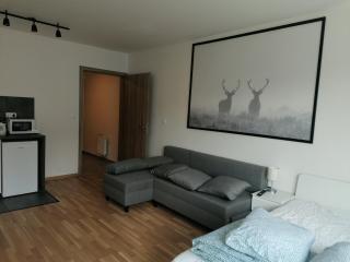 Brand new studio apartment #51 with free secure parking in the center - Prague - 7