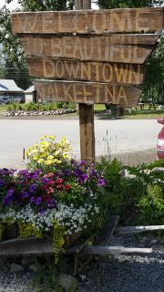 Rustic Elegance - Talkeetna - 1