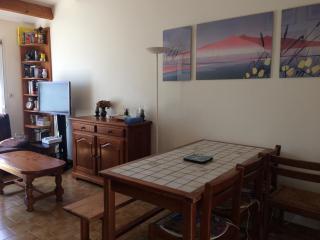 La maisonnette des vacances - Saint-Georges-dʼOléron - 7