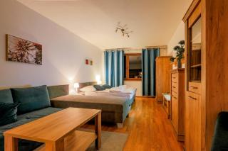 Apartmány Fatrapark 1 s WELLNESSOM Hrabovská dolina - Ružomberok - 0