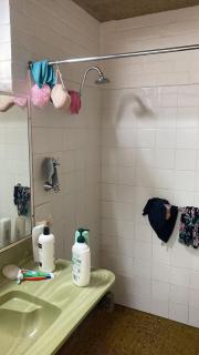 Pemberton Hostel - note - Go to Gloucester Motel Reception for check in - Backpackers 88 days farm work available in the Manjimup and Pemberton Region - 1