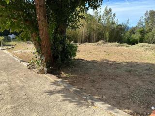 Le jardin de Neptune - Rayol-Canadel-sur-Mer - 2