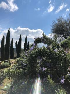 Il Borgo delle Stelle - Colle del Marchese - 7