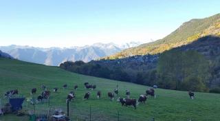 Casa Indipendente Val d'Ayas - Challand Saint Anselme - 1