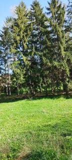 Apartman BIN Sokobanja - Soko Banja - 3
