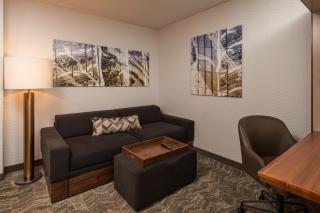 SpringHill Suites by Marriott Philadelphia Airport / Ridley Park - Ridley Park - 4