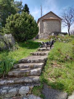 Villa Golda, The whole house Biker Friendly - 8