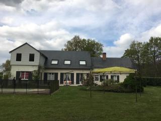 Maison familiale au cœur d'une forêt centenaire avec piscine et proche du Zoo de la Flèche - FR-1-410-395 - 8