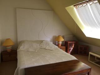 Maison familiale au cœur d'une forêt centenaire avec piscine et proche du Zoo de la Flèche - FR-1-410-395 - 3