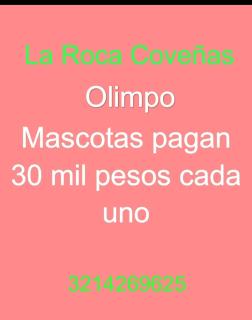 La Roca Coveñas Apartamentos - Coveñas - 2