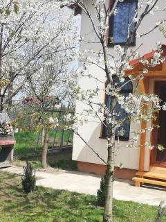 TINY CABIN - 7