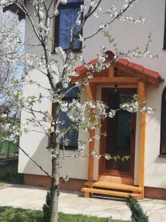 TINY CABIN - Brasov - 8