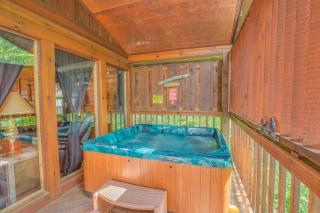 Bear Escape - Sevierville - 8