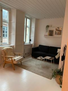 In the city center of Copenhagen - 7