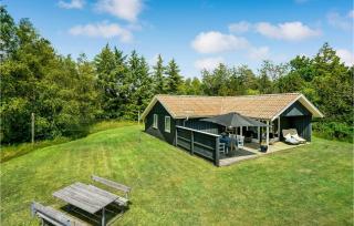 Holiday Home Toftevej Blåvand Iv - 1