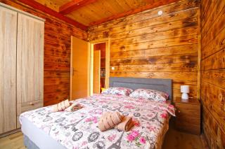 House Kacana 2233 - Orbanići - 4