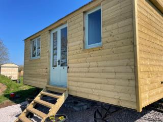Cosy Shepherd Huts near Newborough Forest Anglesey - Gaerwen - 8