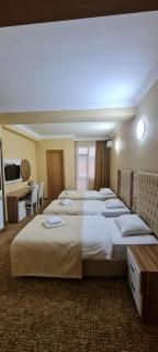 Hotel Genatsvale - Batumi - 8