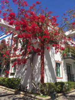 Marina Apartment With Garden - Puerto de Mogán - 1