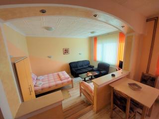 Apartments Nikolić - Soko Banja - 0