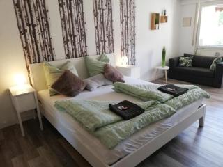 Lived-In Appartement - Bad Urach - 7