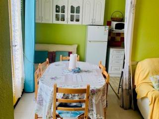 Studio Confortable - 3 Pers - Ascenseur - Parking - Wifi - Centre Ville Amélie-les-Bains - FR-1-703-38 - 1