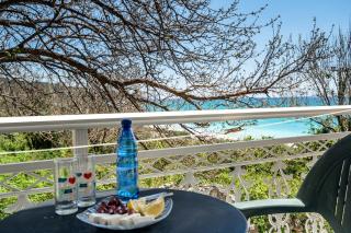 Angela partial sea view 5 - Cefalonia - 8