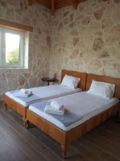 Olive Trees - Tragaki - 2