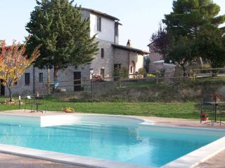 Tulipano - Agriturismo Fogliani - Giano dellʼUmbria - 0