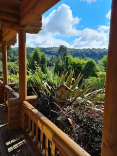 Solid Log Cabin With Private Hot Tub - Oak - Aymestrey - 6
