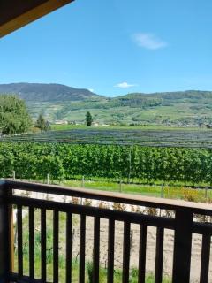 Agritur Lavanda - Nave San Rocco - 4