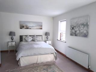The Wandering Donkey Guest House - Carlow - 0